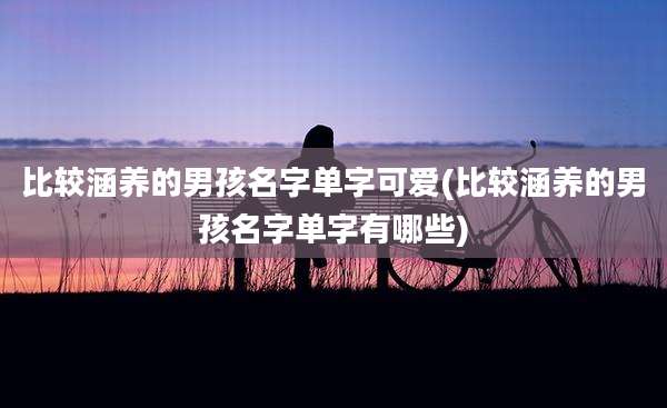 比较涵养的男孩名字单字可爱(比较涵养的男孩名字单字有哪些)