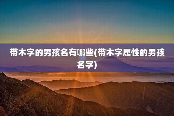 带木字的男孩名有哪些(带木字属性的男孩名字)