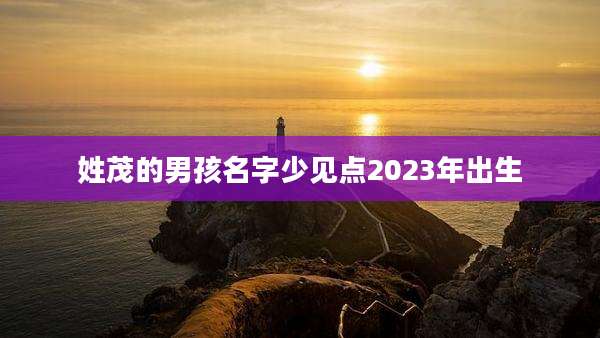 姓茂的男孩名字少见点2023年出生
