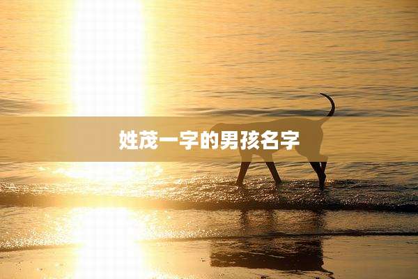 姓茂一字的男孩名字