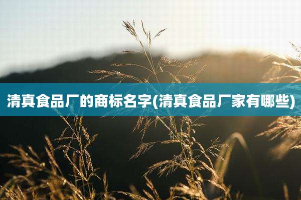 清真食品厂的商标名字(清真食品厂家有哪些)