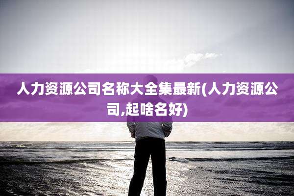 人力资源公司名称大全集最新(人力资源公司,起啥名好)