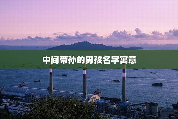 中间带孙的男孩名字寓意