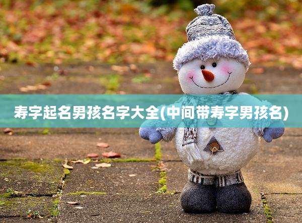 寿字起名男孩名字大全(中间带寿字男孩名)