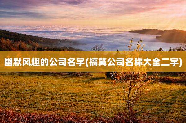 幽默风趣的公司名字(搞笑公司名称大全二字)