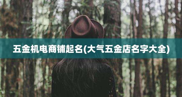 五金机电商铺起名(大气五金店名字大全)