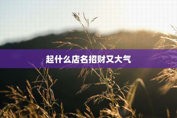 起什么店名招财又大气