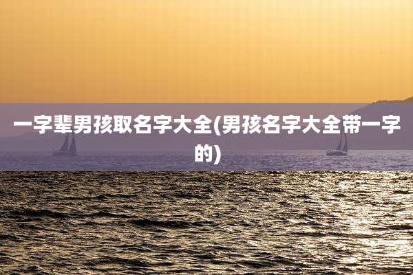 一字辈男孩取名字大全(男孩名字大全带一字的)