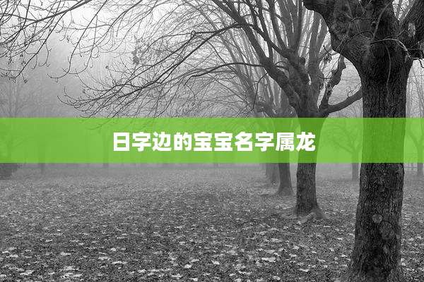 日字边的宝宝名字属龙