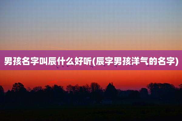 男孩名字叫辰什么好听(辰字男孩洋气的名字)