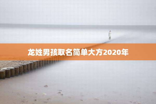 龙姓男孩取名简单大方2020年