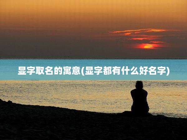 显字取名的寓意(显字都有什么好名字)