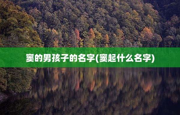 窦的男孩子的名字(窦起什么名字)