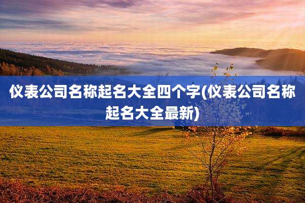 仪表公司名称起名大全四个字(仪表公司名称起名大全最新)