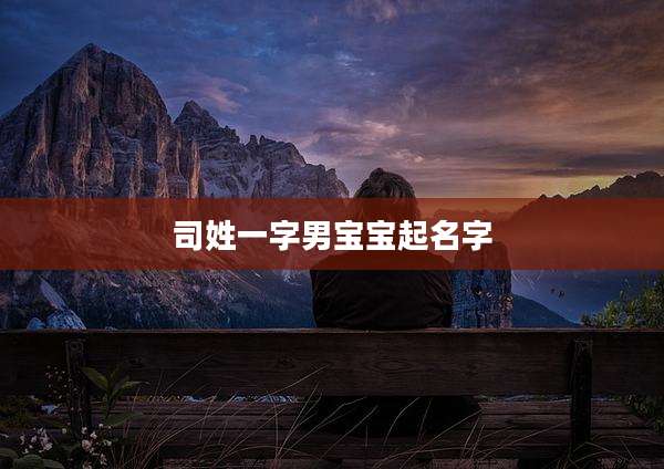 司姓一字男宝宝起名字