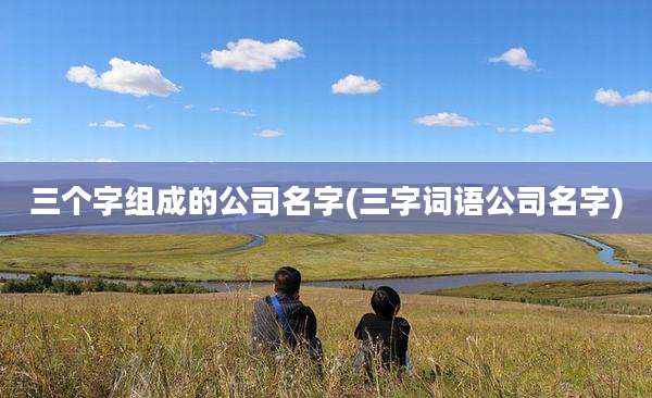 三个字组成的公司名字(三字词语公司名字)