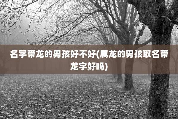 名字带龙的男孩好不好(属龙的男孩取名带龙字好吗)