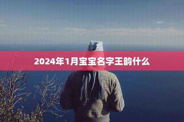 2024年1月宝宝名字王韵什么