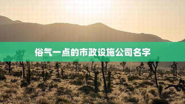 俗气一点的市政设施公司名字