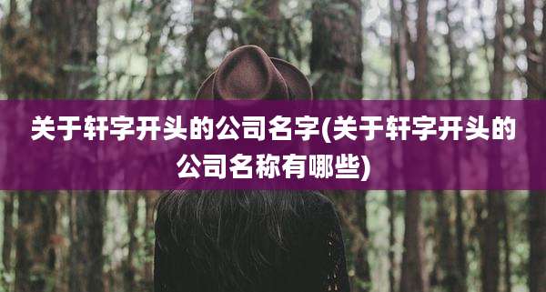 关于轩字开头的公司名字(关于轩字开头的公司名称有哪些)