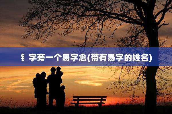钅字旁一个易字念(带有易字的姓名)
