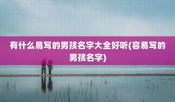 有什么易写的男孩名字大全好听(容易写的男孩名字)