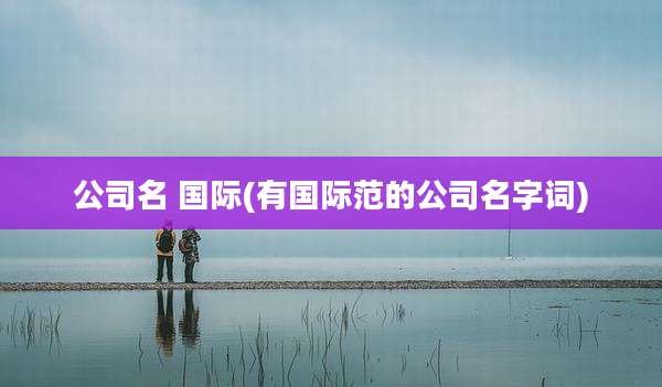 公司名 国际(有国际范的公司名字词)