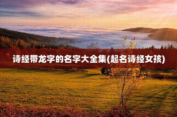 诗经带龙字的名字大全集(起名诗经女孩)