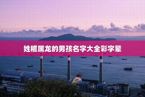 姓稽属龙的男孩名字大全彩字辈