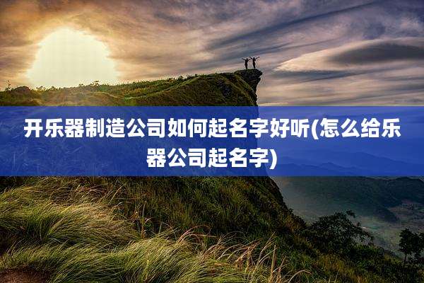 开乐器制造公司如何起名字好听(怎么给乐器公司起名字)