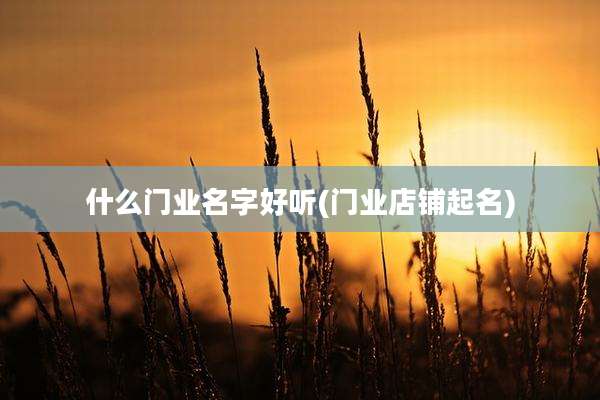 什么门业名字好听(门业店铺起名)