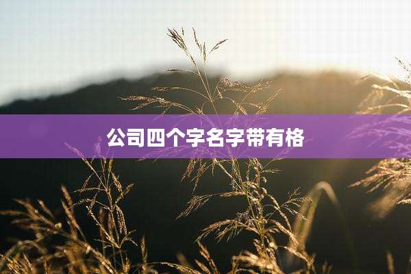 公司四个字名字带有格
