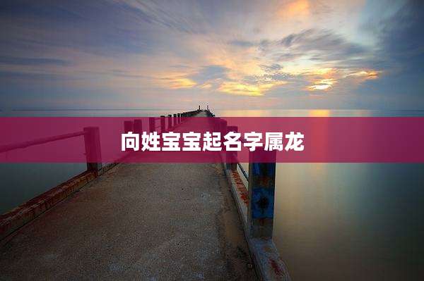 向姓宝宝起名字属龙