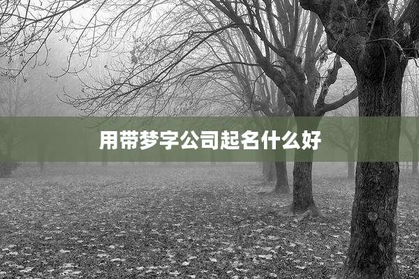 用带梦字公司起名什么好
