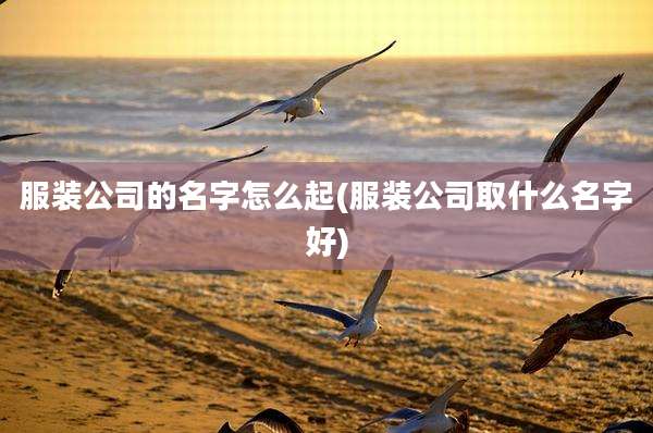 服装公司的名字怎么起(服装公司取什么名字好)