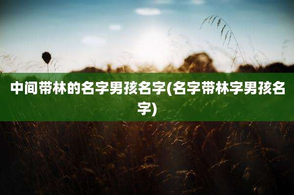 中间带林的名字男孩名字(名字带林字男孩名字)