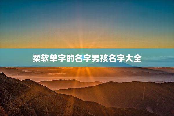柔软单字的名字男孩名字大全