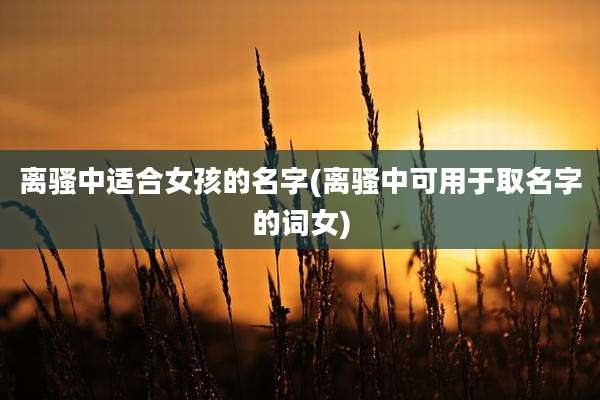离骚中适合女孩的名字(离骚中可用于取名字的词女)