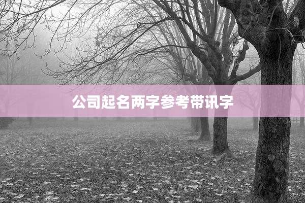 公司起名两字参考带讯字