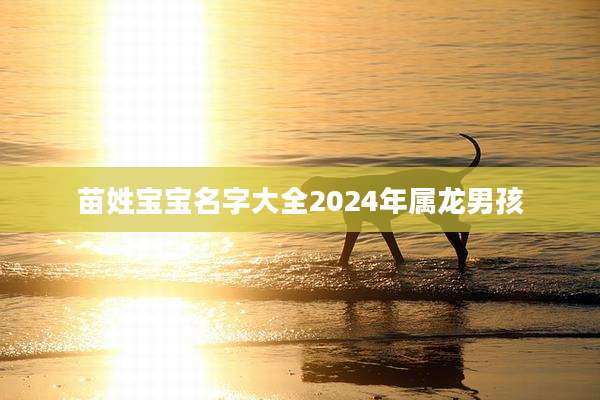 苗姓宝宝名字大全2024年属龙男孩