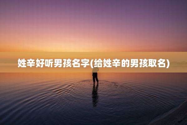 姓辛好听男孩名字(给姓辛的男孩取名)
