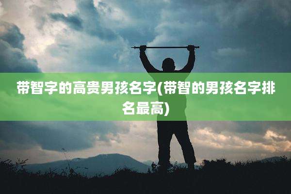 带智字的高贵男孩名字(带智的男孩名字排名最高)
