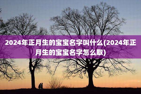 2024年正月生的宝宝名字叫什么(2024年正月生的宝宝名字怎么取)