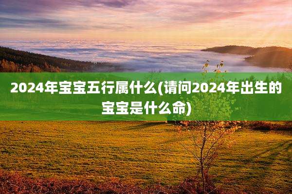 2024年宝宝五行属什么(请问2024年出生的宝宝是什么命)
