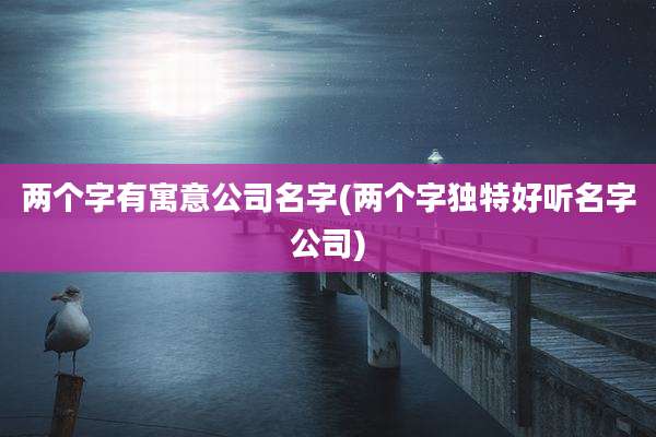 两个字有寓意公司名字(两个字独特好听名字公司)