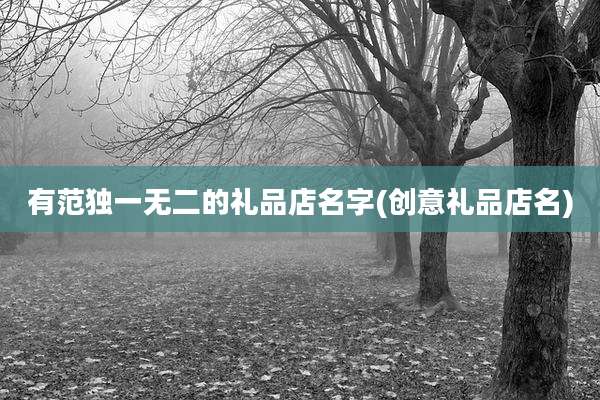 有范独一无二的礼品店名字(创意礼品店名)
