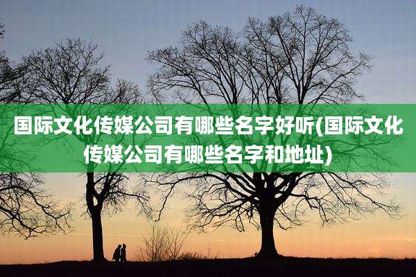 国际文化传媒公司有哪些名字好听(国际文化传媒公司有哪些名字和地址)