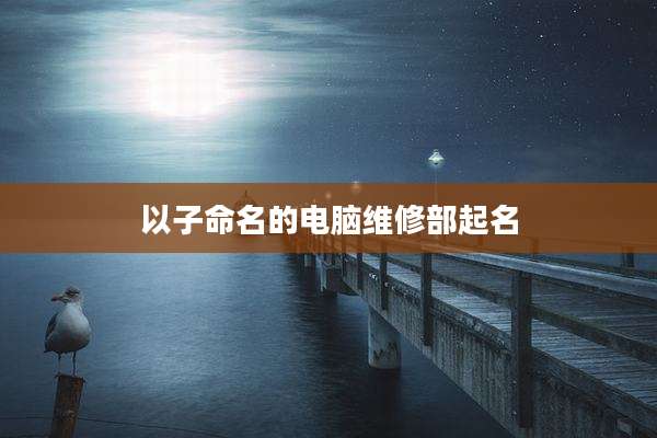 以子命名的电脑维修部起名