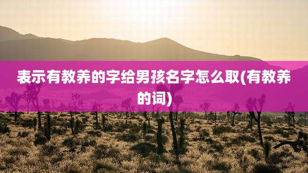 表示有教养的字给男孩名字怎么取(有教养的词)