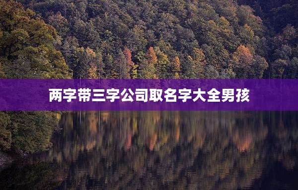 两字带三字公司取名字大全男孩
